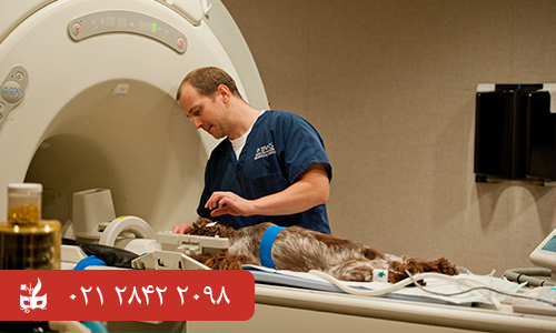 دستگاه MRI دامپزشکی - تجهیزات دامپزشکی